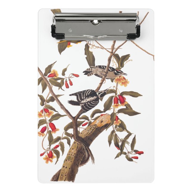 Mini Porte-bloc Audubon Downy Pic Couple aux fleurs (Devant)