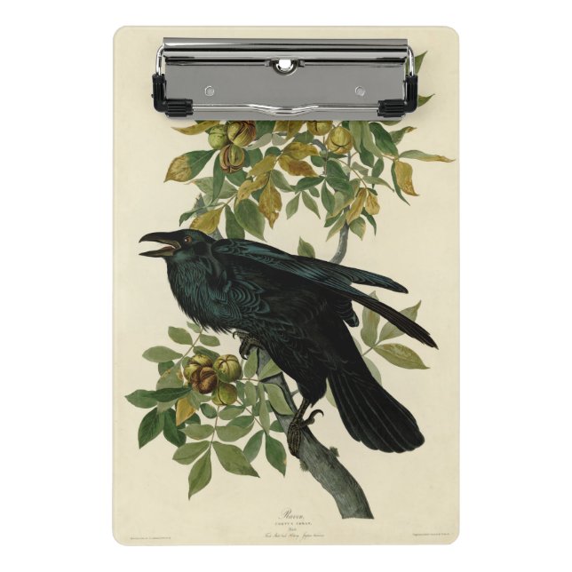 Mini Porte-bloc Audubon Raven Oiseau classique (Devant)