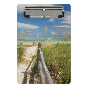 Mini Porte-bloc Avoines de mer Uniola paniculata) poussant près de