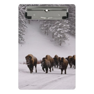 Mini Porte-bloc Bison en hiver
