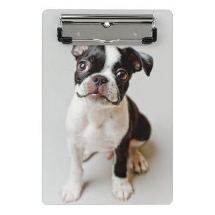 Mini Porte-bloc Boston Terrier