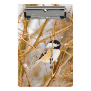 Mini Porte-bloc Chickadee au plafond noir - Photo originale
