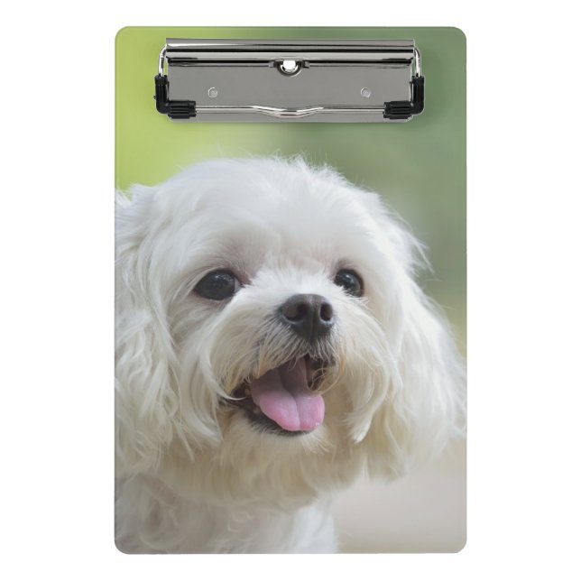 Mini Porte-bloc Chien maltais blanc (Devant)