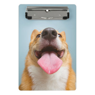 Mini Porte-bloc Corgi très heureux des images   de Getty