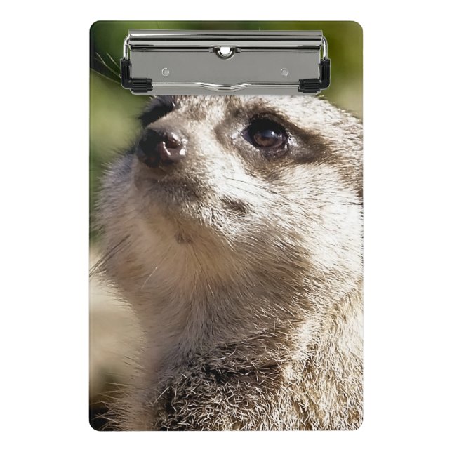 MINI PORTE-BLOC CUTE MEERKAT (Devant)