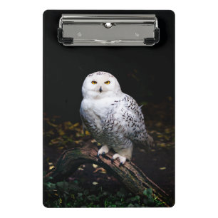Mini Porte-bloc Hibou des neiges majestueux d'hiver