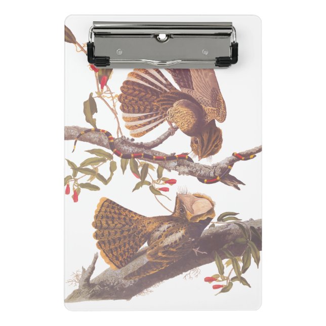 Mini Porte-bloc Le cauchemar de la veuve de Chuck Will avec serpen (Devant)