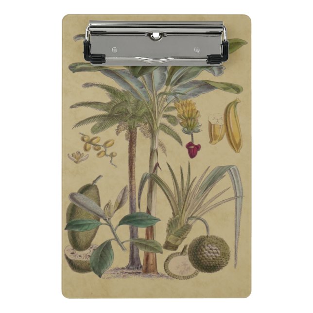 Mini Porte-bloc Palm Antique Fruit Tropical Art Botanique (Devant)