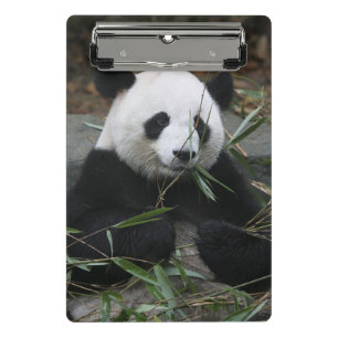 Mini Porte-bloc Panda géant