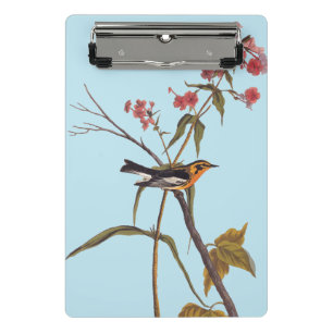 Mini Porte-bloc Paruline noire Vintage Audubon Songbird Art