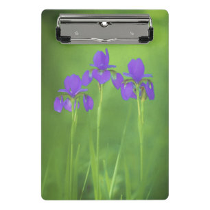 Mini Porte-bloc Peinture Iris Violet - Art Fleur Originale