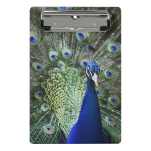 Mini Porte-bloc Portrait de paon avec des plumes