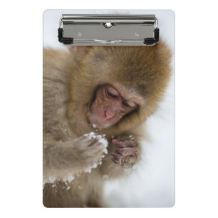 Mini Porte-bloc Singe japonais de neige du Macaque de bébé
