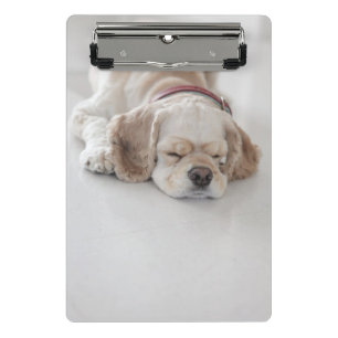 Mini Porte-bloc Sommeil de chien de cocker