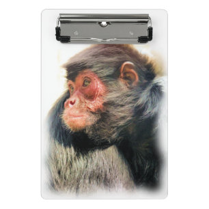 MINI PORTE-BLOC SPIDER MONKEY