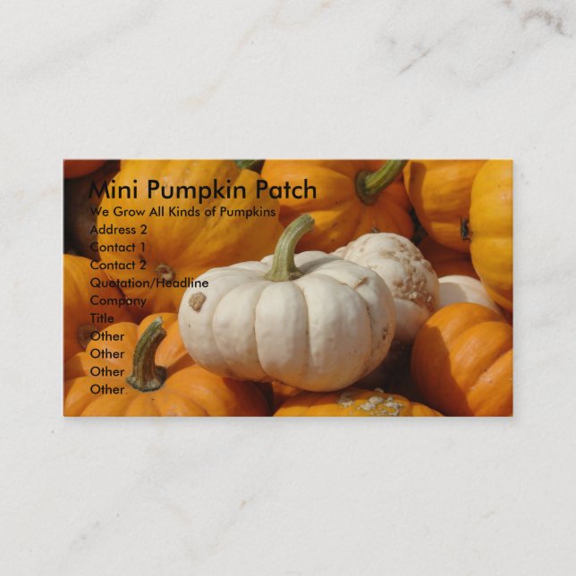 Mini Pumpkin Patch, We Grow All Kinds... Business Card (Front)