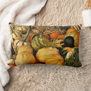 Mini Pumpkins And Gourds Assortment Fall Photo Lumbar Pillow
