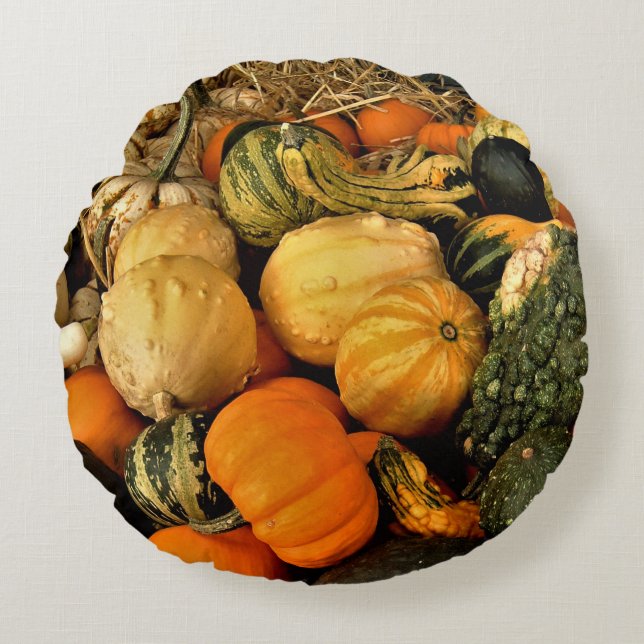 Mini Pumpkins And Gourds Assortment Fall Photo Round Pillow (Front)