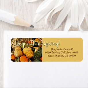 Mini Pumpkins And Gourds / Happy Thanksgiving