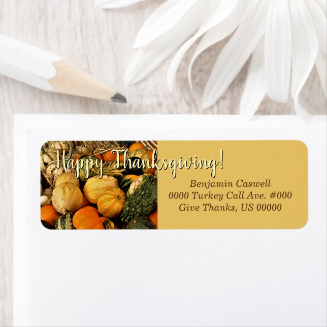 Mini Pumpkins And Gourds / Happy Thanksgiving (Insitu)