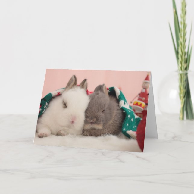 Mini rabbits holiday card (Front)
