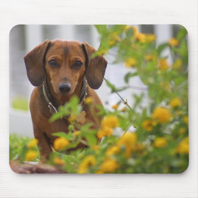 Mini Red Dachshund Mousepad (Front)