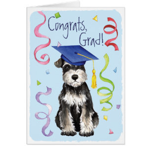 Mini Schnauzer Graduate
