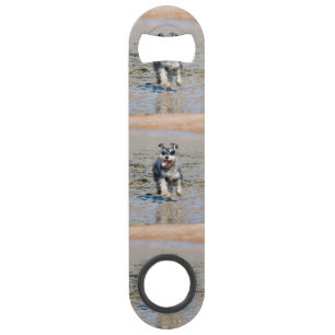 mini schnauzer-running bar key