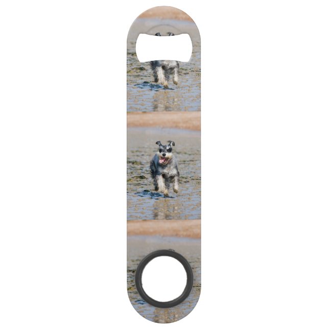 mini schnauzer-running bar key (Front)