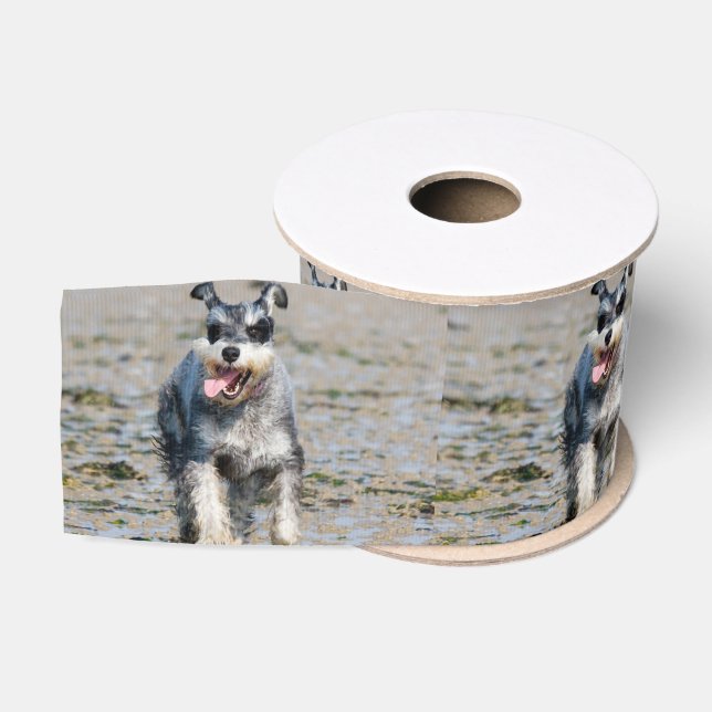 mini schnauzer-running grosgrain ribbon (Spool)