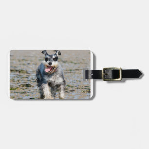 mini schnauzer-running luggage tag