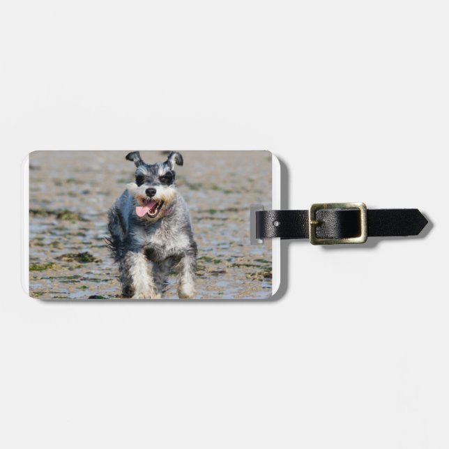 mini schnauzer-running luggage tag (Front Horizontal)