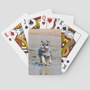 mini schnauzer-running playing cards