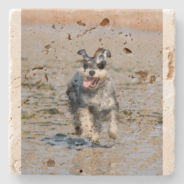 mini schnauzer-running stone coaster (Front)