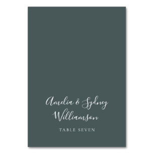 Mini-Script Turquoise Nom personnalisé Carte de pl
