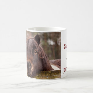 mini Shetland, la tasse de l'énorme personnalité