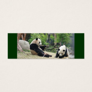 Mini-signet de panda géant
