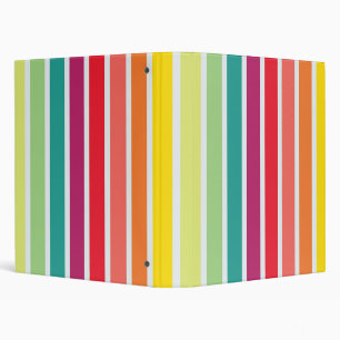 Mini Spectrum Binder