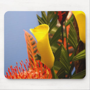 mini yellow calla lilies mouse pad