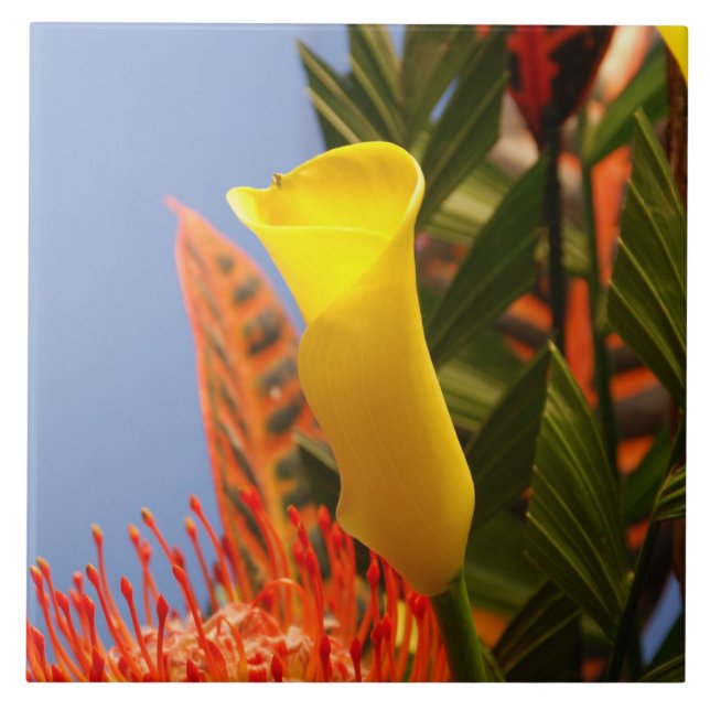 mini yellow calla lily tile (Front)