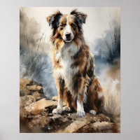 Miniature American Shepherd Art Chien Poster