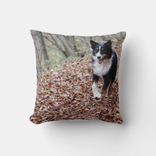 Miniature American Shepherd Black Tri Running Throw Pillow