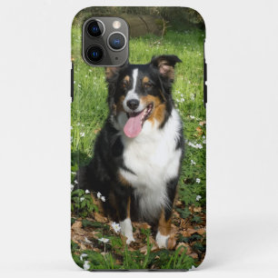 Miniature American Shepherd Black Tri Sitting iPhone 11 Pro Max Case