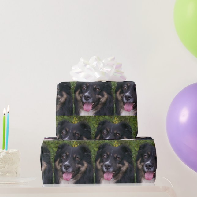 Miniature American Shepherd Black Tri Wrapping Paper (Party Gifts)