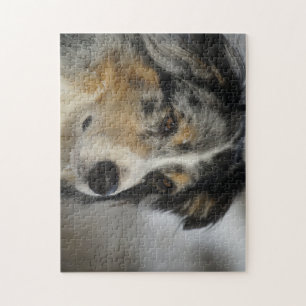Miniature American Shepherd Blue Merle second Jigsaw Puzzle