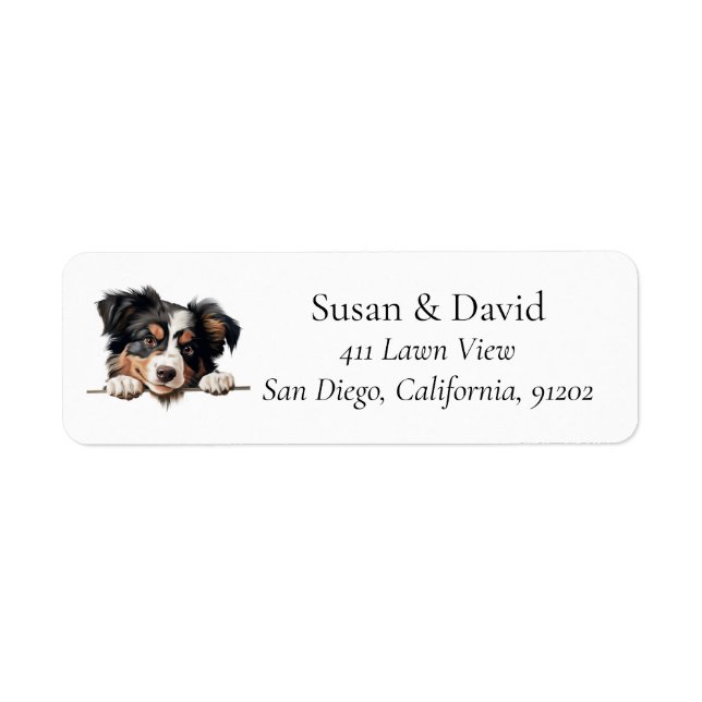 Miniature American Shepherd Dog Breed Pet Lovers (Front)