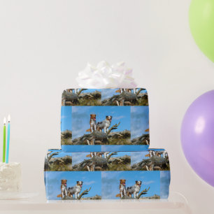Miniature American Shepherd group Wrapping Paper