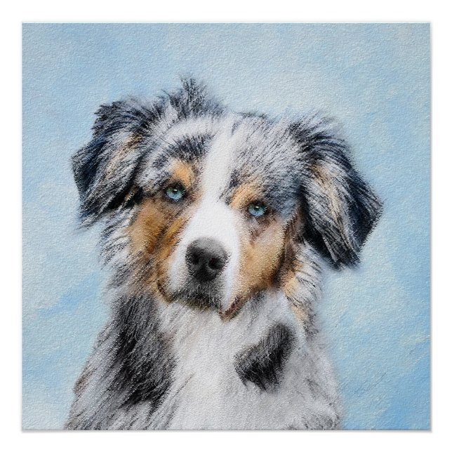 Miniature American Shepherd Painting - Dog Art Poster (Front)