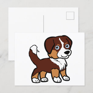 Miniature American Shepherd Red Tri with Tail Postcard