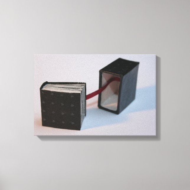 Miniature Artis't Book with its box open Canvas Print (Front)